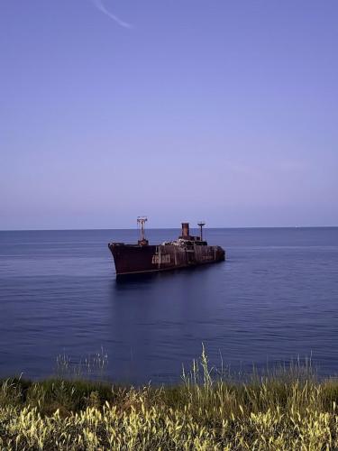IMG 4582